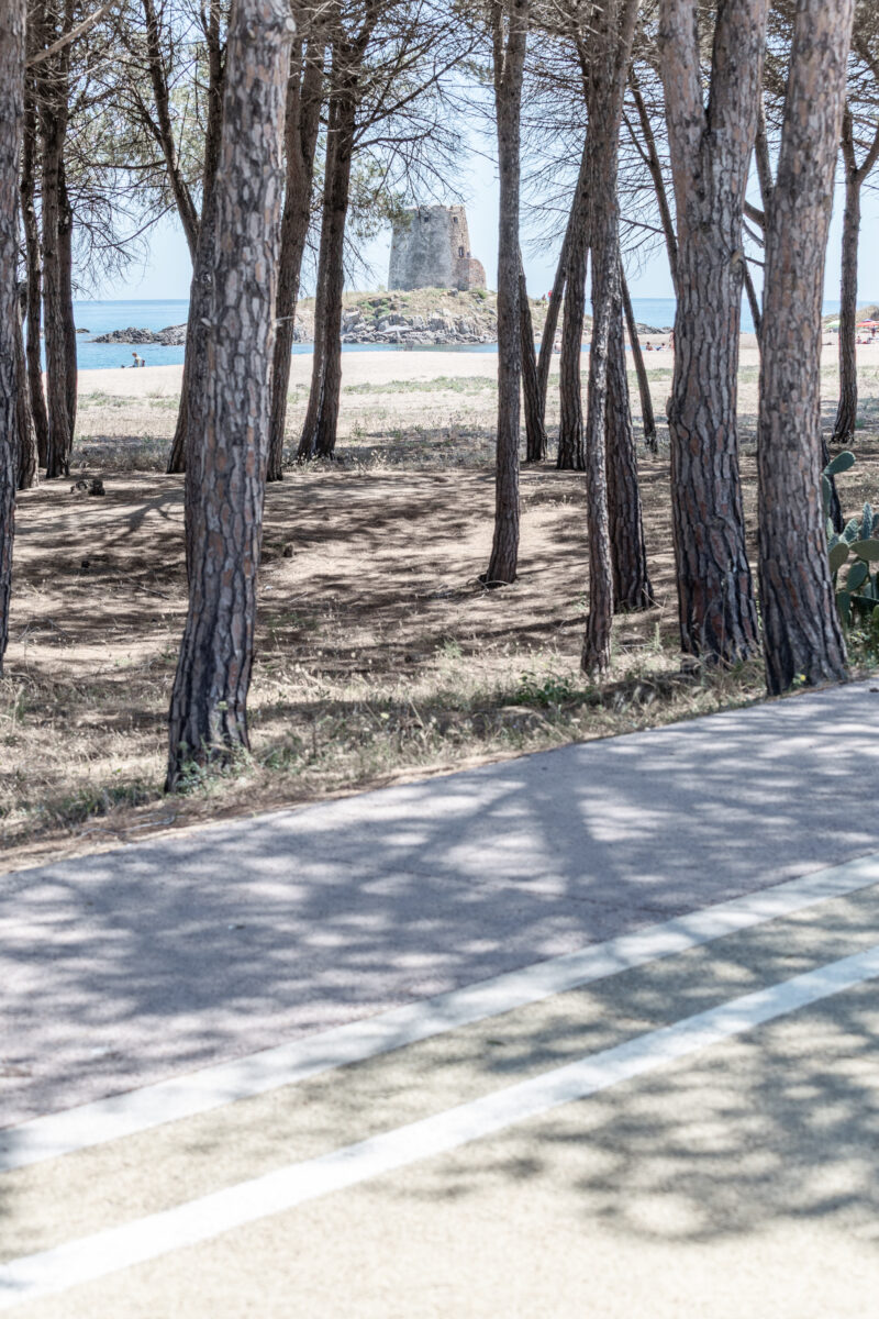 Rapporto tra pineta, strada e mare nella litoranea di Bari Sardo